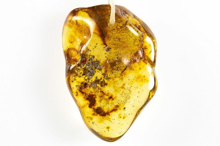 Polished Chiapas Amber ( g) Necklace - Mexico #304354